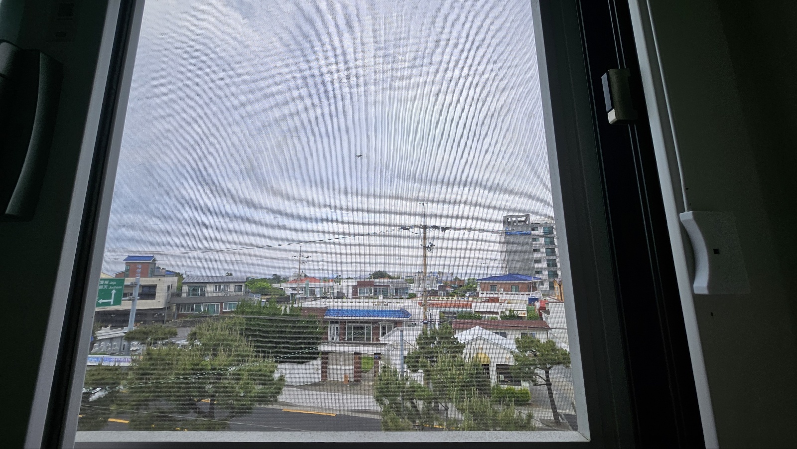 KakaoTalk_20250515_155827823_01.jpg